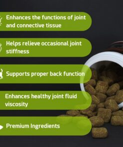 POINTPET Glucosamine for Dogs - Hip & Joint Supplement - Dog Mobility Soft Chews with Chondroitin & MSM - Dog Supplement with Omega 3, Vitamin C & E for Hips and Joints 120cnt 120 Soft Chews 20 71S TAOxvJL