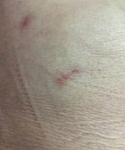 BLACK+DECKER String Trimmer with Auto Feed, Electric, 6.5-Amp, 14-Inch (BESTA510) 37 71S mTobl5L