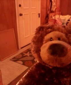 GUND Philbin Classic Teddy Bear, Premium Stuffed Animal for Ages 1 and Up, Chocolate Brown, 12” 37 71S01r aYoL