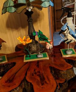 LEGO Ideas 21301 Birds Model Kit 39 71S2XKjQPuL