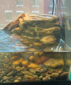 Tetra Decorative ReptoFilter, Terrarium Filtration, Keeps Water Clear 53 71S4QIJpfjL