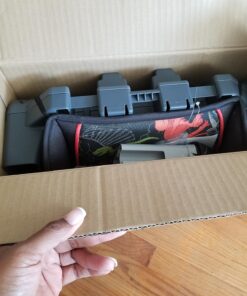 Graco TurboBooster Backless Booster Car Seat, Dinorama Dinorma 32 71S5X1v223L