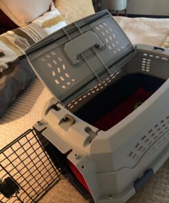 Amazon Basics - 2-Door Top-Load Hard-Sided Dogs, Cats Pet Travel Carrier, Gray & Blue, 22.8"L x 15.0"W x 13.0"H Two-Door Top-Load 91 71S6KFh5jL 1