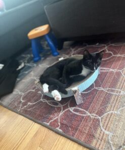 Catstages Scratch, Snuggle & Rest Corrugated Cat Scratcher With Catnip (packaging may vary) Scratch Snuggle & Rest 33 71S6QJpWfaL