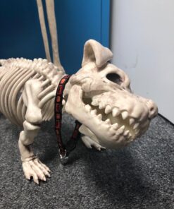 Crazy Bonez Pose-N-Stay Skeleton Original Pose-N-Stay 46 71S7xxHINJL