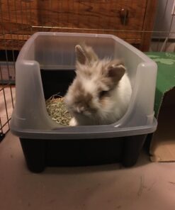 IRIS USA Open-Top Cat Litter Box with Shield and Scoop, Black Regular 45 71S8xHhVBqL