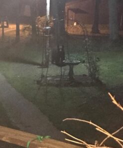 Nature's Way Bird Products CWF3 Cedar Platform Tray Bird Feeder 12" x 12" 12" x 12" 39 71S9GtxMqlL