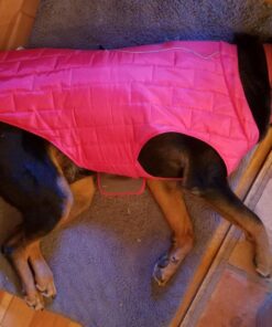 Kurgo Loft Dog Jacket, Reversible Dog Coat, Wear with Harness or Sweater, Water Resistant, Reflective, Winter Coat For Large Dogs (Coastal Blue, XL) Extra Large Coastal Blue/Orange 74 71SAsCL hYL