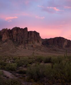 52MM 0.43x Wide Angle Conversion Lens with Macro for Nikon D3200, D3300, D5100, D5200, D5300, D5500, D7200, D90, D500, D600, D610, D700, D750, D800 45 71SB2y0JreL