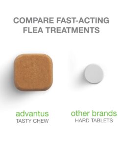 Advantus (Imidacloprid) Chewable Flea Treatment for Small Dogs, 7 Count, 4-22 Pounds 16 71SBfZKMvGL