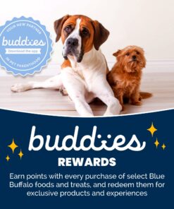 Blue Buffalo Dog Food for Senior Dogs, Life Protection Formula, Natural Chicken & Brown Rice Flavor, Senior Dry Dog Food, 30 lb Bag 30.00 Pound (Pack of 1) 30 71SD4cRgQmL