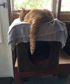 MidWest Homes for Pets 137-BR 'The Original' Curious Cat Cube, Cat House / Cat Condo in Brown Faux Suede & Synthetic Sheepskin Brown Single Story 63 71SDG5 2L L 3