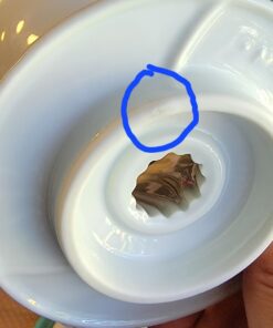 Hario V60 Ceramic Coffee Dripper Pour Over Cone Coffee Maker Size 02, White 39 71SDImJ93aL