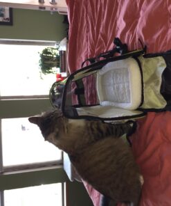 Paws & Pals Airline Approved Pet Carrier - Soft-Sided Carriers for Small Medium Cats and Dogs Air-Plane Travel On-Board Under Seat Carrying Bag with Fleece Bolster Bed for Kitten Cat Puppy Dog Taxi Green 52 71SF55v2WGL