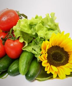 AeroGarden Grow Anything Seed Pod Kit for AeroGarden Hydroponic Indoor Garden, 3-Pod 8 71SGWrtaAnL