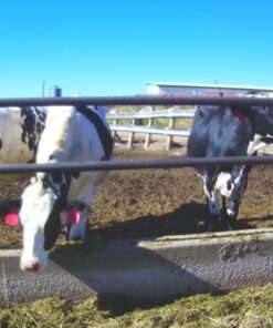 Holy Stone HS720R 3 Axis Gimbal GPS Drones with Camera for Adults 4K EIS; FPV RC Drone, Foldable Quadcopter with 10000 Feet Video Transmission Control Range, Brushless Motor, Follow Me, Auto Return 35 71SKeSZPZuL