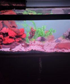 Marineland Penguin Power Filter Cartridge Rite-Size B, 1 Count, Replacement Cartridge For Aquarium Filtration, B - Yellow 1-Count Size B 12 71SMHIaBFL