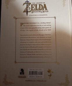 The Legend of Zelda: Breath of the Wild--Creating a Champion 41 71SMkCbL