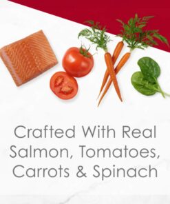 Purina Fancy Feast Wet Cat Food Medleys - (24) 3 oz. Cans Salmon Primavera in Sauce 3.00 Ounce (Pack of 24) 18 71SN5WywfKL