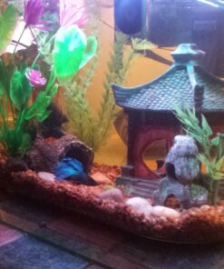 SunGrow Betta Leaves, 8”, 10 Pcs Beneficial Large Catappa Indian Almond Leaves for Overall Development in Fish Tank Aquarium, Water Conditioner Leaves Lower pH Large (8", 10 pack) 44 71SNxJ82izL