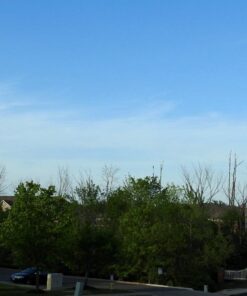 Nikon COOLPIX P900 Digital Camera (Black) 79 71SQnLDTEmL