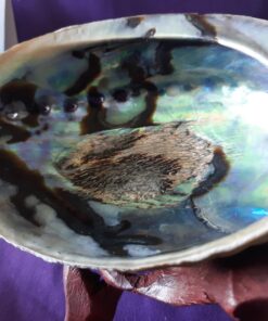 Smudge Kit Spiritual Set, Large Abalone Shell, Complete Sage Smudge Stick Kit, Palo Santo, White Sage Incense for Cleansing, Smudge Feather,Chakra Kit Bracelet, Charitable Positive Vibes Smudging Kit 52 71SSRfJBMAL