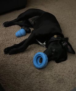 KONG Puppy Tires - Durable Puppy Chew Toy - Soft Rubber Treat Toys for Puppies & Dogs - Stuffable Dog Chew Toy - Puppy Teething Toy for Fetch & Mental Enrichment - Tire Chew Toy - Medium/Large Puppies 42 71SYzcMHMCL