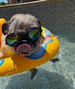 Intex My Baby Float 30 71SaC0FZrhL