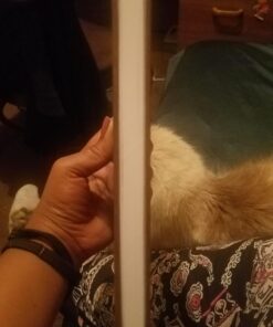 SaltWrap Sunrise Manifesto: Daily Morning Guided Journal for Gratitude, Mindfulness, Wellness, Self Care for Women & Men – 5 Minute Reflection Journal 48 71SaJYanitL 1