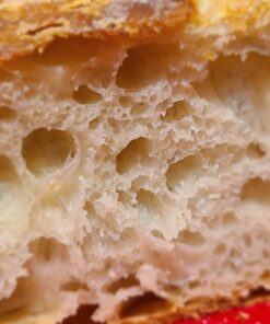 SAINT GERMAIN Premium Hand Crafted Bread Lame for Dough Scoring Knife, Tool Sourdough Slashing with 10 Blades Included Replacement Authentic Leather Protector Cover 30 71SavUOLw L