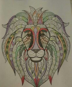 Adult Coloring Book: Stress Relieving Animal Designs 65 71Sawr4xDvL