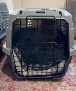 Amazon Basics - 2-Door Top-Load Hard-Sided Dogs, Cats Pet Travel Carrier, Gray & Blue, 22.8"L x 15.0"W x 13.0"H Two-Door Top-Load 70 71ScT9SBq8L