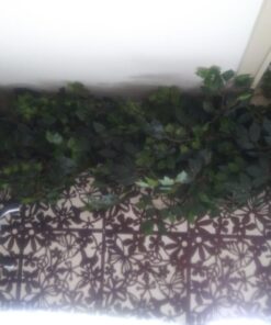 SHARPIE King Size Permanent Marker Large Chisel Tip, Great for Poster Boards, Black, 4 Count Assorted 42 71SdjBwqhjL