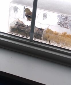 Window Bird Feeder with Strong Suction Cups, Clear Window Bird Feeders for Outside - Transparent Bird House, Balcony Glass Mount, Acrylic Cat, Kids & Elderly Viewing Clear Bird Feeder for Window Perch Large Ranch 47 71Sfml 6x5L