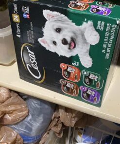 CESAR Adult Wet Dog Food Classic Loaf in Sauce Poultry Variety Pack,. Easy Peel Trays with Real Chicken, Turkey or Duck, 3.5 Ounce (Pack of 24) 3.5 Ounce (Pack of 24) multi 34 71Sfs0wgcCL