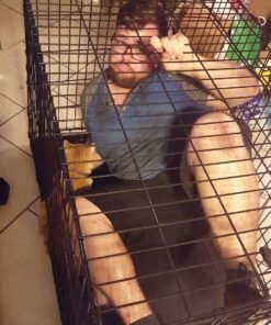 MidWest Homes for Pets Large Dog Crate | MidWest Life Stages Double Door Folding Metal Crate | Divider Panel, Floor Protecting Feet, Leak-Proof Pan | 42L x 28W x 31H Inches For Large Dog Breed 42.0"L x 28.0"W x 30.0"H Lifestages; Double Door 53 71SgDhhvwPL