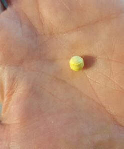 Hyperbiotics Pro Kids Probiotics | Vegan Daily Digestive Probiotic for Kids | Tiny Pearl Tablets | Easy to Swallow for Children | Gluten, Dairy & Sugar Free | Ages 3 & Up | Orange Flavor | 60 Count 38 71Sgj6BGnnL