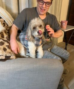 CESAR Adult Wet Dog Food Classic Loaf in Sauce Poultry Variety Pack,. Easy Peel Trays with Real Chicken, Turkey or Duck, 3.5 Ounce (Pack of 24) 3.5 Ounce (Pack of 24) multi 30 71Sk93eopwL