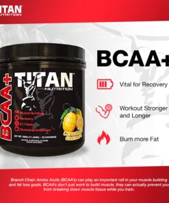 Titan BCAA+ Powder - Branched-Chain Amino Acid + Glutamine - Build Lean Muscle, Increase Muscle Mass, Aid Recovery - BCAA Ratio 2:1:1 - No Gluten, Low-Carb - Vegan - 50 Servings - Smashed Grape 12 71SkoeoIPhL