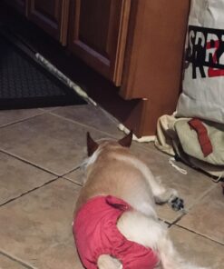 NaturVet Quiet Moments Calming Aid Plus Melatonin 180 Soft Chews 13.9OZ 25 71SkzjXTP2L