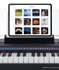 The ONE Portable Digital Piano, 88 Keys Piano Keyboard with Hammer Action Keys for Beginner/Professional, Full Size Weighted Keyboard with Music Stand, Teaching LED Lights & Piano App SP-TON1B 13 71SotbuAPeL