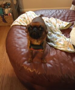 StopWoof Dog Bark Collar - Humane Care Modes, Vibration & Sound - No Shock Training Device For Small, Medium, Large Breeds - No Harm Deterrent Vibrating Control - Reflective & Automatic Without Remote 24 71Sq6kpNWaL