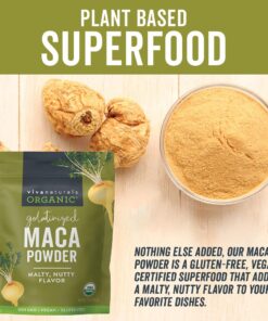 Viva Naturals Organic Maca Powder - Gelatinized Maca Powder Organic, Vegan and Kosher Peruvian Superfood - Certified USDA Organic, Gluten-Free & Non-GMO 1 Pound (Pack of 1) 22 71Sqnf1ZvQL