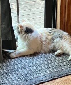 Purina Cat Chow Gentle Dry Cat Food, Sensitive Stomach + Skin - 13 lb. Bag 13.00 Pound (Pack of 1) 43 71SxjLjZM6L