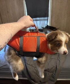 Outward Hound Granby Splash Orange Dog Life Jacket, Small Granby (Flotation) Small (Chest Girth: 16"-20") 49 71SzBLsp2RL