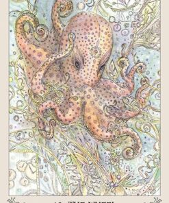 Spiritsong Tarot 40 71T3xFAojL