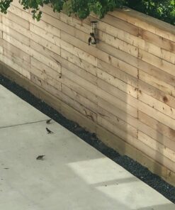 12 Inches Tube Bird Feeders for Outdoors Hanging, 4 Feeding Ports, Hard Plastic Bird Feeder Outdoor Weatherproof and 4 Inch Steel Hanger, Wild Bird Feeders, Finch Feeder, Bird Feeders Outside Hanging 1 4 Ports 42 71T41kGKiWL