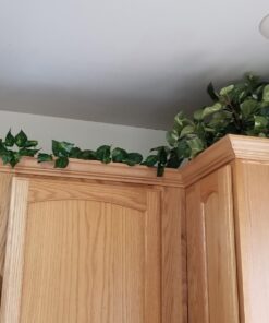 Nearly Natural 15in. Pothos Ledge Plant (Set on Foam) Silk Plant,Green 38 71T56RxK5eL