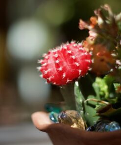 Nikon AF-S FX NIKKOR 50mm f/1.4G Lens with Auto Focus for Nikon DSLR Cameras Lens Only 57 71T5ZTyjfL