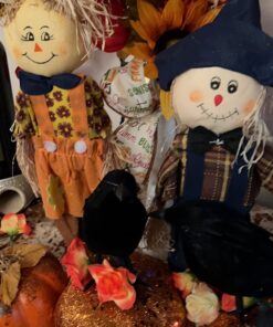 PREXTEX 6pcs Black-Feathered Small Crows Halloween Decorations | Outdoor&Indoor Decor | Fake Bird, Halloween Birds, Scary Ravens, Decorative Crows, Raven | Home, Fence, Porch, Tree, Party Decoration 43 71T5rO8DdxL